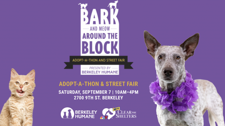 Promotional event image for "Bark & Meow Around the Block" Adopt-a-thon and Street Fair by Berkeley Humane. The event is scheduled for Saturday, September 7, from 10 AM to 4 PM. The image showcases a cat and dog in flower collars on a purple backdrop, highlighting local pet services.